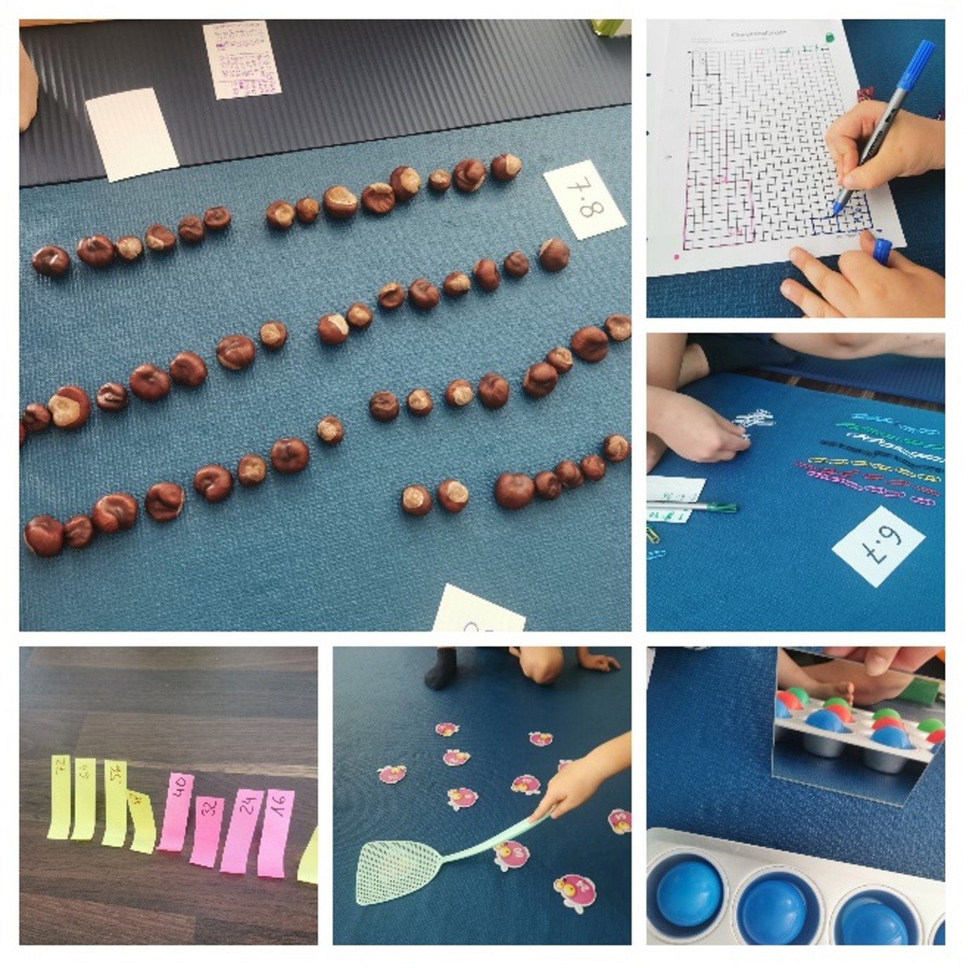 Workshop für Kinder - Natur Kastanien